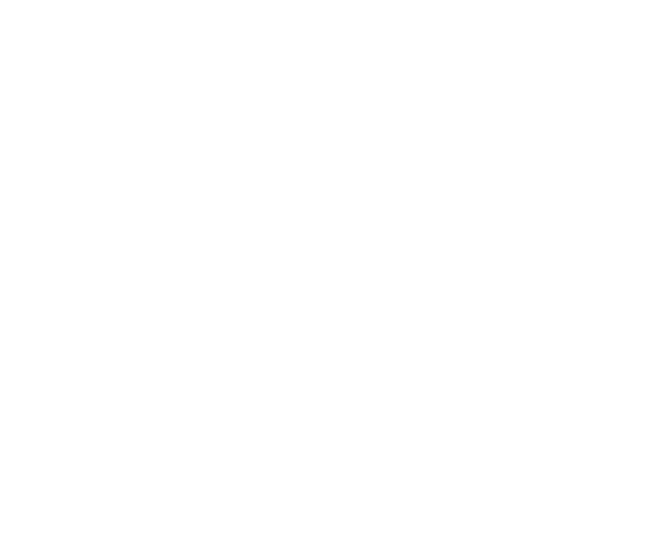 Tier III ico